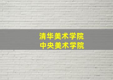 清华美术学院 中央美术学院